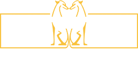 SCHERER & SCHERER Versicherungsmakler GmbH Logo